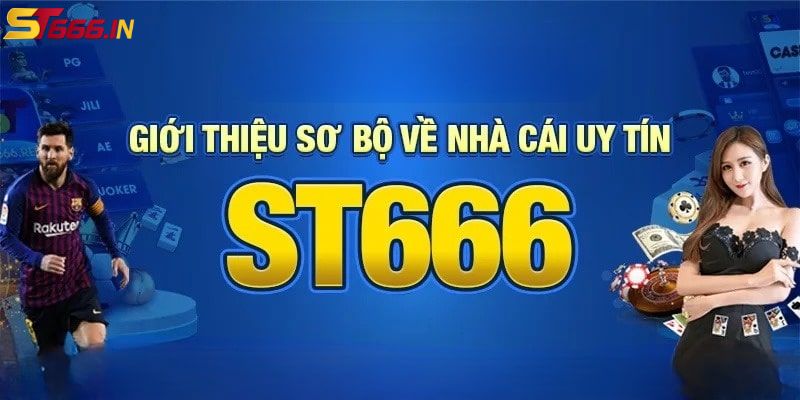 Điều khoản dịch vụ St666 - Dịch vụ uy tín hàng đầu Châu Á